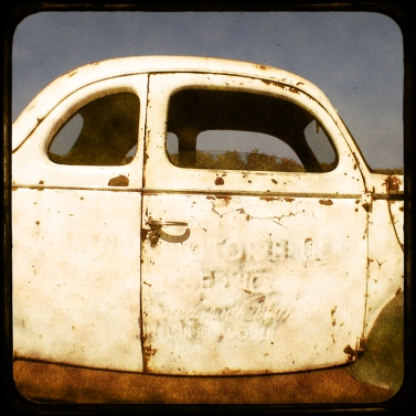 WHITE LIGHTNING